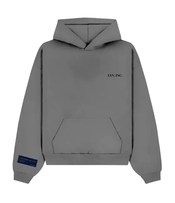 Basic Hoodie (dark grey)