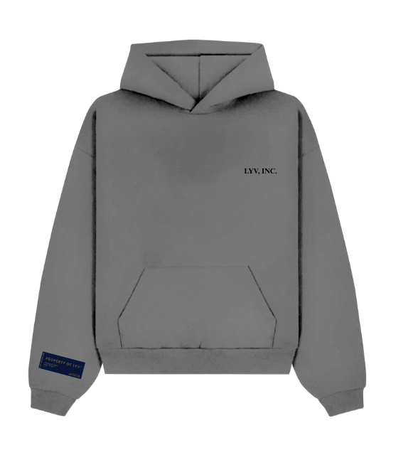 Basic Hoodie (dark grey)